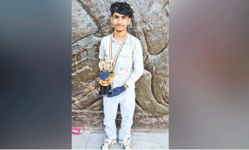 കളിപ്പാട്ട നിർമാണത്തിൽ  വിദിൻ വേറെ ലെവലാ