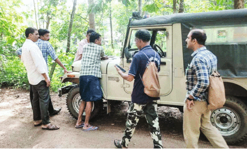 വഴിക്കടവിൽ പുലി ഇടിച്ച്  ബൈക്ക് മറിഞ്ഞു