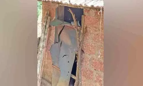 tribal houses, Toilet