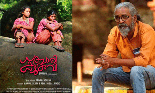 ധബാരി കുരുവി; കാഴ്ചയും  ഉൾക്കാഴ്ചയും