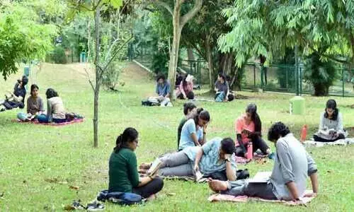 Napier Museum Park, Museum Park, reading