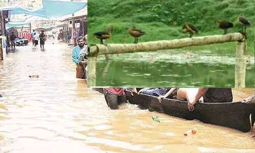 2019 ലെ പ്രളയ കാലത്ത് നാല് ചെമ്പിന് വാടക 48,000 രൂപ