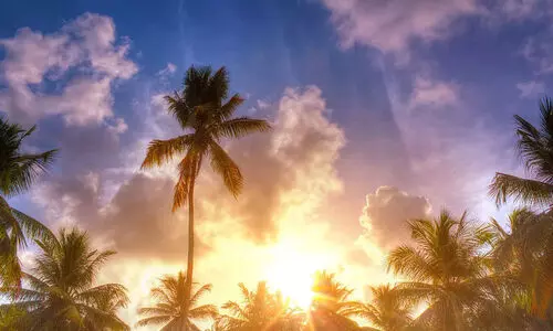 ജനുവരിയിലും ചുട്ടുപൊള്ളി കേരളം