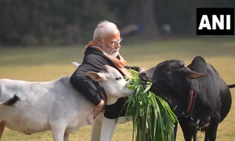 ഏറ്റവും വലിയ ബീഫ് കയറ്റുമതിക്കാരുടെ നാട്ടിലെ ഒരാൾ... എന്തൊരു വിരോധാഭാസം! -മോദി പശുക്കൾക്ക് തീറ്റകൊടുക്കുന്ന വീഡിയോക്കെതിരെ പ്രകാശ് രാജ് ഏറ്റവും വലിയ ബീഫ് കയറ്റുമതിക്കാരുടെ നാട്ടിലെ ഒരാൾ... എന്തൊരു വിരോധാഭാസം! -മോദി പശുക്കൾക്ക് തീറ്റകൊടുക്കുന്ന വീഡിയോക്കെതിരെ പ്രകാശ് രാജ്