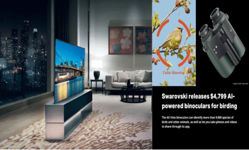 പൂച്ച പിടിയൻ ഫ്ലാപ്പും പ​ക്ഷി നി​രീ​ക്ഷ​ക​ൻ ബൈ​നോ​കു​ല​റും