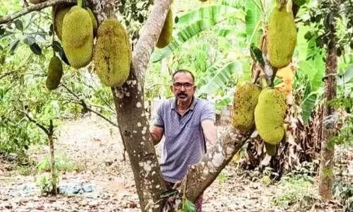 പോ​ൾ​സ​ൺ