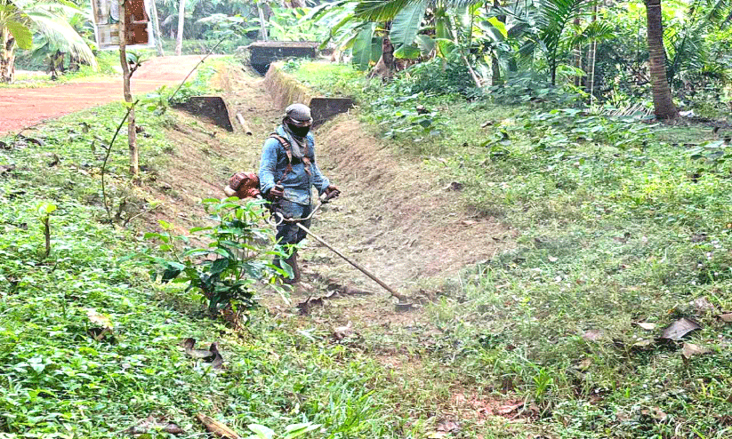 ഇ​റി​ഗേ​ഷ​ൻ വ​കു​പ്പി​ന് തൊ​ഴി​ലു​റ​പ്പ് തൊ​ഴി​ലാ​ളി​ക​ളോ​ട് അ​യി​ത്തം; ക​നാ​ൽ ശു​ചീ​ക​ര​ണം സ്വ​കാ​ര്യ ക​രാ​റു​കാ​ർ​ക്ക്