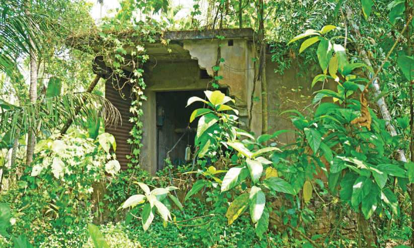 മുരിക്കുങ്ങല് ലിഫ്റ്റ് ഇറിഗേഷന് പദ്ധതി പുനരുദ്ധരിക്കുമെന്ന് അധികൃതര്; പ്രതീക്ഷയോടെ നാട്ടുകാര് മുരിക്കുങ്ങല് ലിഫ്റ്റ് ഇറിഗേഷന് പദ്ധതി പുനരുദ്ധരിക്കുമെന്ന് അധികൃതര്; പ്രതീക്ഷയോടെ നാട്ടുകാര്