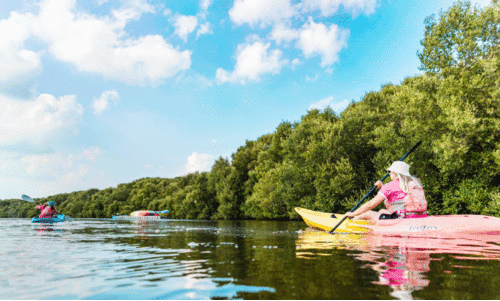അ​ജ്​​മാ​ൻ അ​ൽ​സോ​റ​യി​ൽ ശൈ​ത്യ​കാ​ലം ആ​സ്വ​ദി​ക്കാ​നെ​ത്തി​യ വി​നോ​സ​ഞ്ചാ​രി​ക​ൾ