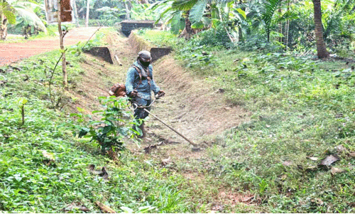 ഇ​റി​ഗേ​ഷ​ൻ വ​കു​പ്പി​ന് തൊ​ഴി​ലു​റ​പ്പ് തൊ​ഴി​ലാ​ളി​ക​ളോ​ട് അ​യി​ത്തം; ക​നാ​ൽ ശു​ചീ​ക​ര​ണം സ്വ​കാ​ര്യ ക​രാ​റു​കാ​ർ​ക്ക്