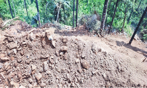 മ​ല​യോ​ര ഹൈ​വേ: റോഡരികിൽ ഇ​റ​ക്കി​യ മ​ണ്ണ് സ​മീ​പ​വാ​സി​ക​ൾ​ക്ക് ദു​രി​ത​മാ​കു​ന്നു