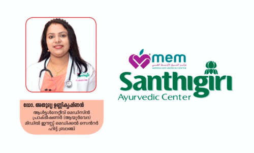 തണുപ്പ് കാല രോഗങ്ങളിൽ നിന്ന് രക്ഷ നേടാം