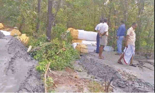 25 ഏക്കർ തണ്ണീർത്തടം മാലിന്യം തള്ളി നികത്തുന്നു