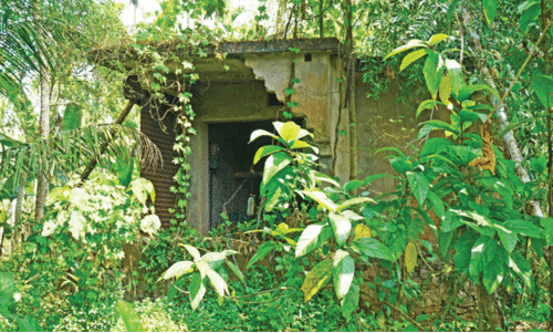 മുരിക്കുങ്ങല്‍ ലിഫ്റ്റ് ഇറിഗേഷന്‍ പദ്ധതി പുനരുദ്ധരിക്കുമെന്ന് അധികൃതര്‍; പ്രതീക്ഷയോടെ നാട്ടുകാര്‍