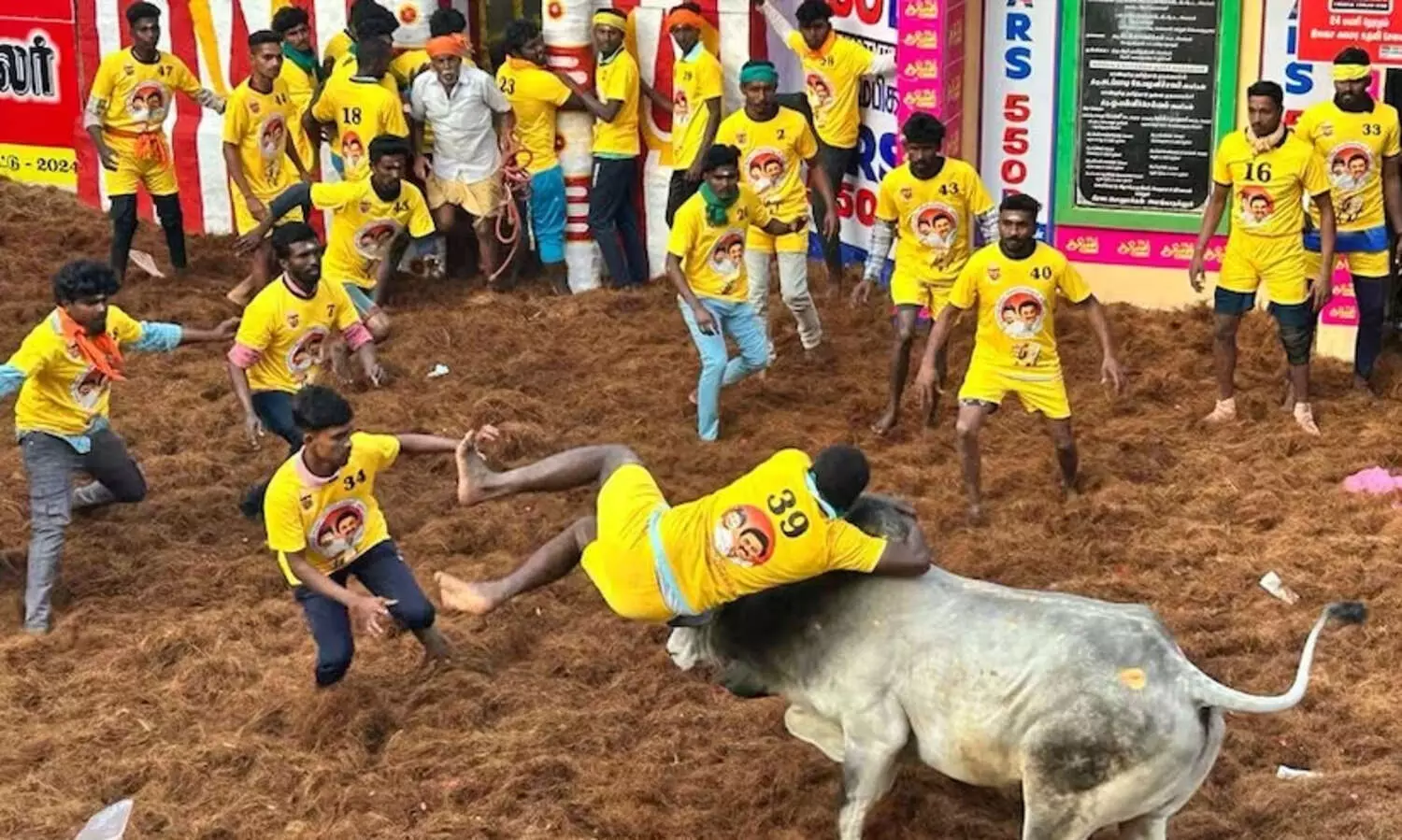 ജെല്ലിക്കെട്ട് മത്സരത്തിനിടെ രണ്ട് മരണം; 70 പേർക്ക് പരിക്ക്