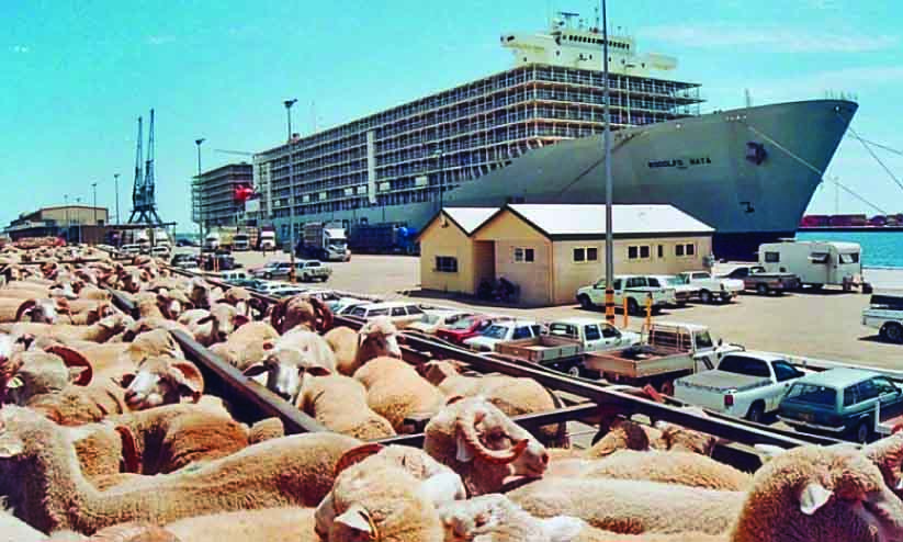 രാജ്യത്ത് കന്നുകാലി കയറ്റുമതിക്ക് വിലക്ക് ഏര്പ്പെടുത്തുന്നു രാജ്യത്ത് കന്നുകാലി കയറ്റുമതിക്ക് വിലക്ക് ഏര്പ്പെടുത്തുന്നു