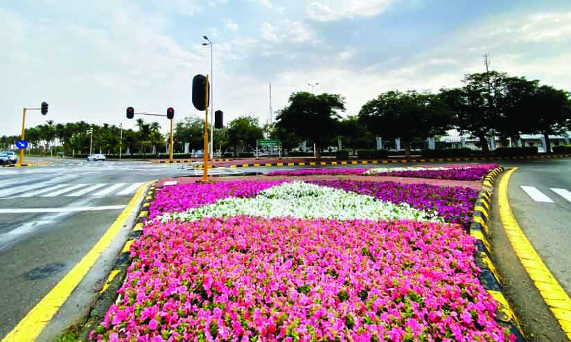 യാം​ബു പു​ഷ്‌​പോ​ത്സ​വം ഫെ​ബ്രു​വ​രി 15 മു​ത​ൽ