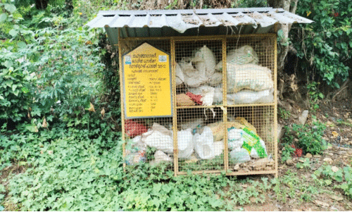 മാ​ലി​ന്യം ത​ള്ളി​യാ​ൽ മ​തി​യോ... നീ​ക്കം ചെ​യ്യേ​ണ്ടേ?