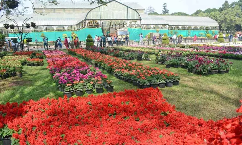 പു​ഷ്പ​മേ​ള