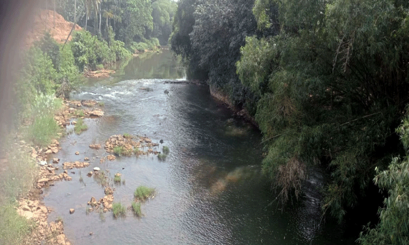 പുനരുജ്ജീവന പദ്ധതി ആരംഭിച്ചില്ല; വാമനപുരം നദിയിലെ നീരൊഴുക്ക് ദുര്‍ബലമായി