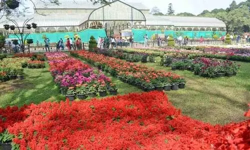 പുഷ്പമേള പുഷ്പമേള