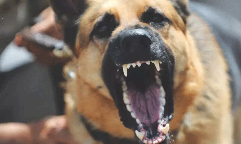 representational image