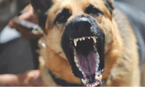 representational image