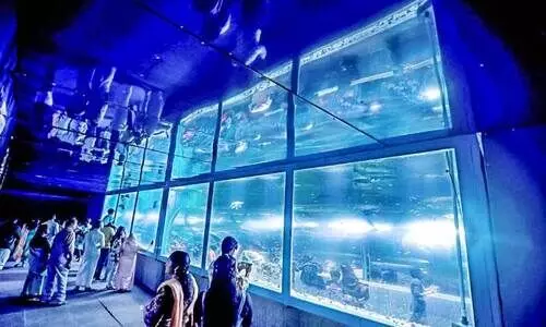 മറൈൻ വേൾഡ് അണ്ടർവാട്ടർ ടണൽ മറൈൻ വേൾഡ് അണ്ടർവാട്ടർ ടണൽ