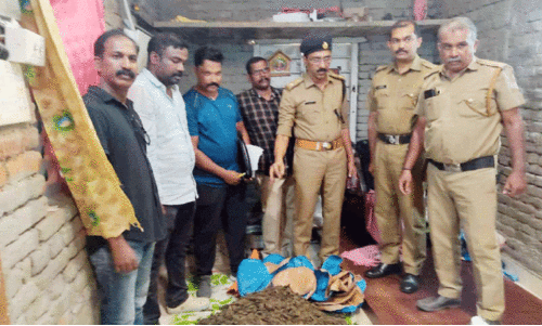 വീ​ട്ടി​ൽ വി​ൽ​പ​ന​ക്കാ​യി സൂ​ക്ഷി​ച്ച ക​ഞ്ചാ​വ് ശേ​ഖ​രം എ​ക്സൈ​സ് പി​ടി​കൂടുന്നു