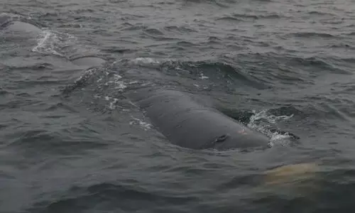 അന്തർജല ആണവായുധ ഡ്രോൺ പരീക്ഷിച്ച് ഉത്തര കൊറിയ