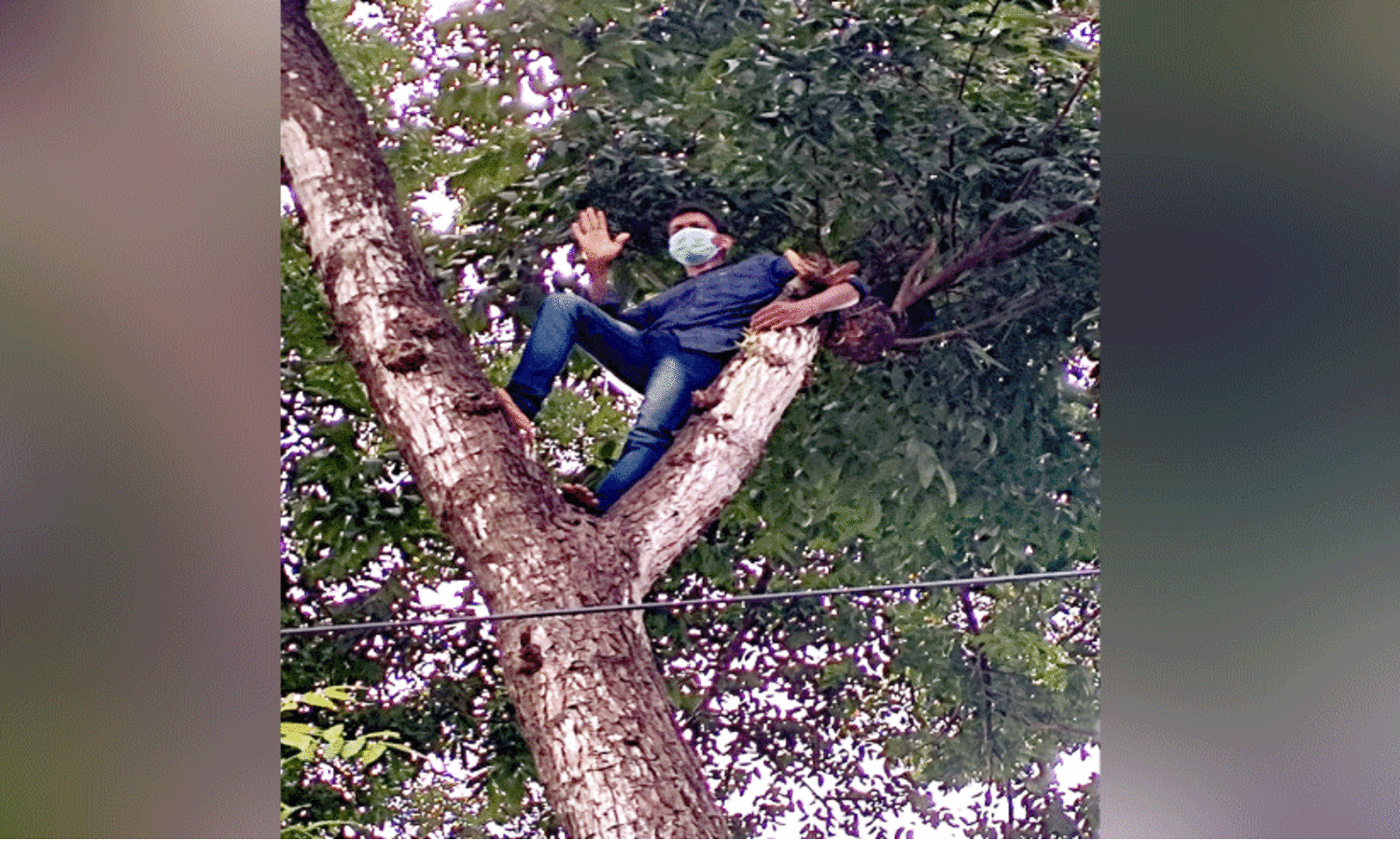 പൊലീസ് സ്‌റ്റേഷന് മുന്നിലെ മരത്തില്‍ കയറി പ്രതിയുടെ ആത്​മഹത്യാഭീഷണി