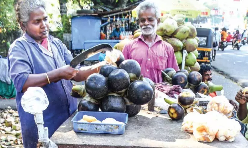 പനംനൊങ്ക് പനംനൊങ്ക്