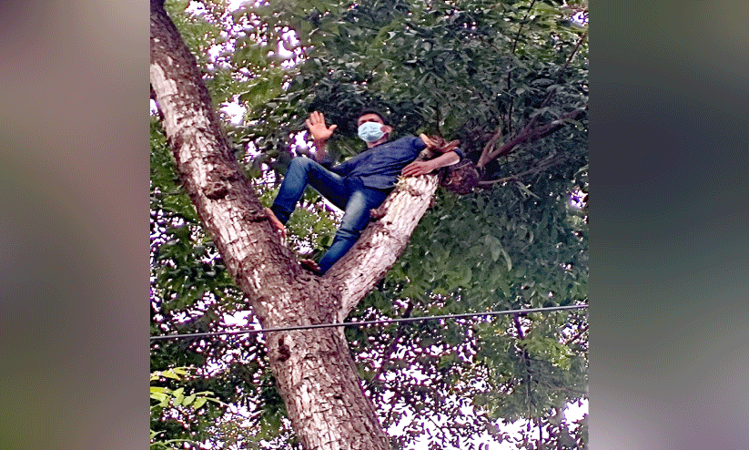 പൊലീസ് സ്‌റ്റേഷന് മുന്നിലെ മരത്തില്‍ കയറി പ്രതിയുടെ ആത്​മഹത്യാഭീഷണി