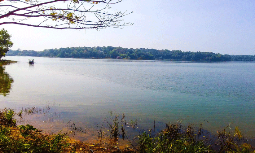 ശാസ്താംകോട്ട കായൽ ദുരന്തത്തിന് ഇന്ന് 42 ആണ്ട് ശാസ്താംകോട്ട കായൽ ദുരന്തത്തിന് ഇന്ന് 42 ആണ്ട്