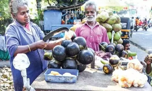പനംനൊങ്ക്