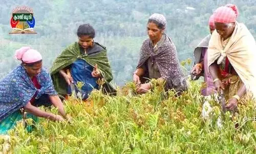 ആ​ദി​വാ​സി വ​നി​ത​ക​ൾ