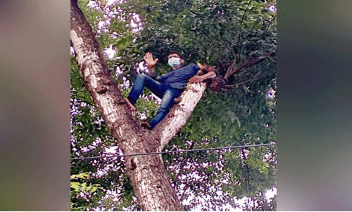 പൊലീസ് സ്‌റ്റേഷന് മുന്നിലെ മരത്തില്‍ കയറി പ്രതിയുടെ ആത്​മഹത്യാഭീഷണി