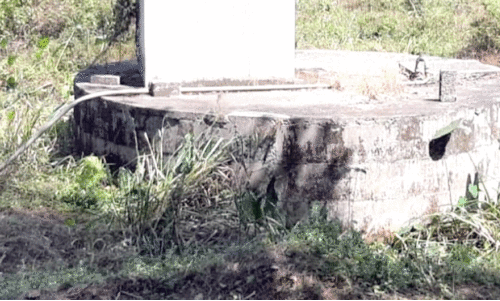 drinking water drinking water