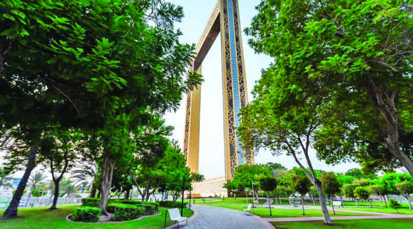 പച്ചപുതച്ച്​ ദുബൈ; കഴിഞ്ഞ വർഷം നട്ടത്​ ലക്ഷക്കണക്കിന്​ മരങ്ങൾ