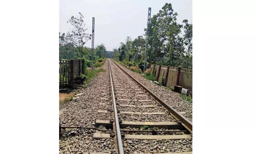 നിലമ്പൂർ-ഷൊർണൂർ റെയിൽപാത വൈദ്യുതീകരണം; മേലാറ്റൂർ വരെ തൂണുകൾ സ്ഥാപിച്ചു