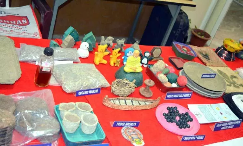 വെള്ളായണിക്ക് പാഠമാക്കാം ഈ നേട്ടം വെള്ളായണിക്ക് പാഠമാക്കാം ഈ നേട്ടം