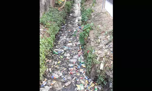 ആലപ്പുഴ നഗരം കൊതുകുപടയുടെ പിടിയിൽ ആലപ്പുഴ നഗരം കൊതുകുപടയുടെ പിടിയിൽ