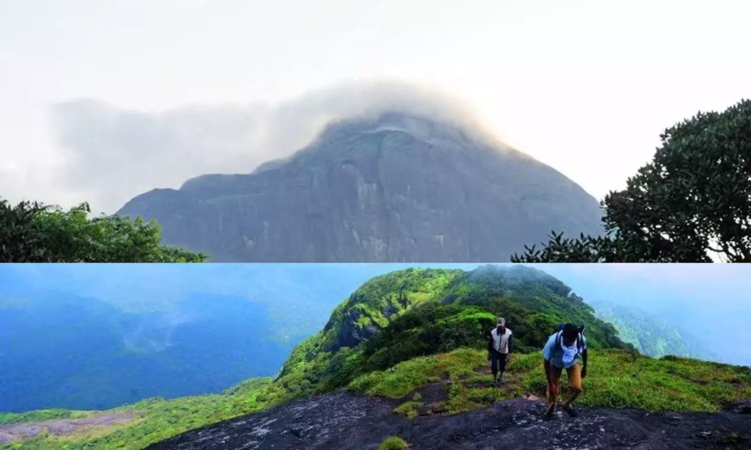 അ​ഗസ്ത്യാർകൂടം ട്രക്കിങ് 24 മുതൽ