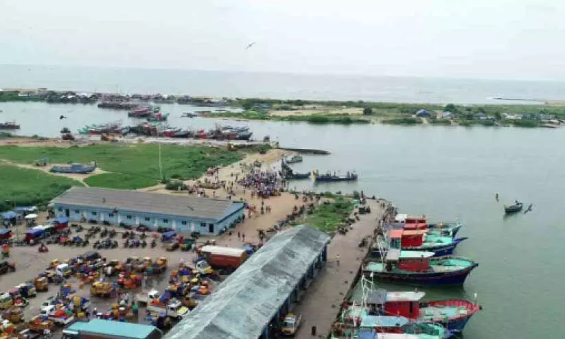 ഫി​ഷി​ങ് ഹാ​ർ​ബ​ർ