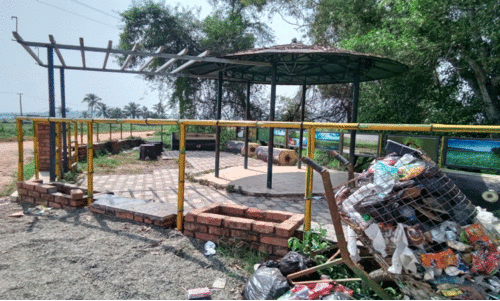 ടൂറിസം സ്‌പോട്ടില്‍ ‘ഇടംനേടി’ മാലിന്യം; കൊറ്റില്ലം സംരക്ഷിക്കാന്‍ നടപടികളില്ല