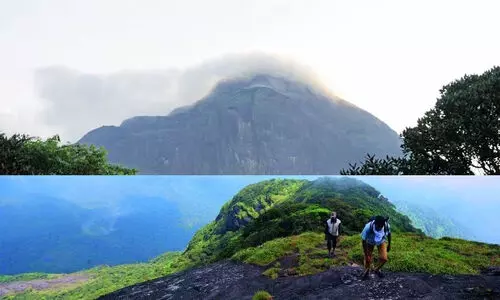അ​ഗസ്ത്യാർകൂടം ട്രക്കിങ് 24 മുതൽ