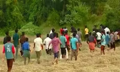 വയനാട്ടിൽ ജനവാസ മേഖലയിൽ ഇറങ്ങിയ കരടിയെ മയക്കുവെടി വെക്കാൻ നീക്കം