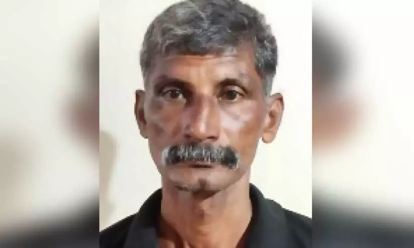 വർഗീസ് വർഗീസ്