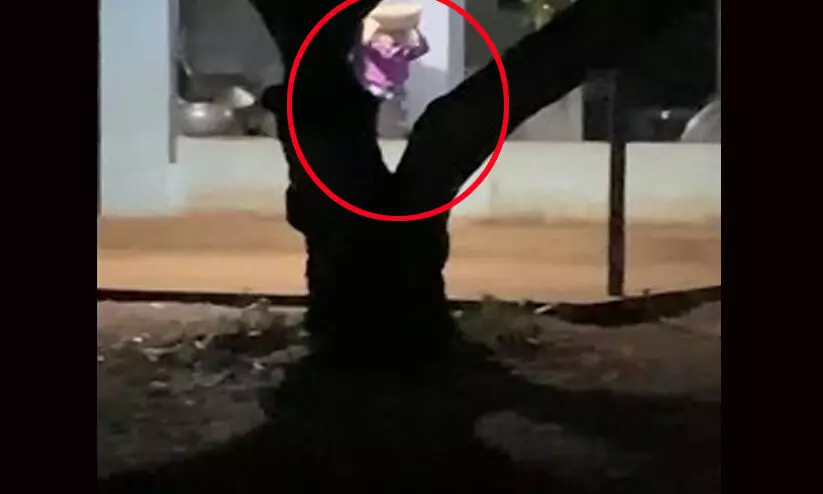 സ്കൂളിൽ നിന്ന് അരിമോഷണം: നാല് അധ്യാപകർക്ക് സസ്പെൻഷൻ സ്കൂളിൽ നിന്ന് അരിമോഷണം: നാല് അധ്യാപകർക്ക് സസ്പെൻഷൻ