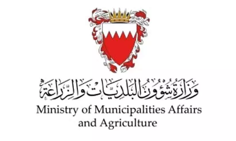 മണ്ണ് രഹിത കൃഷി: 285 പേർക്ക് പരിശീലനം നൽകി മണ്ണ് രഹിത കൃഷി: 285 പേർക്ക് പരിശീലനം നൽകി